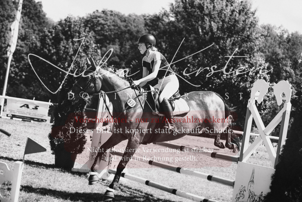 DSC_6494 | Pferde- und Turnierfotografie in Westsachsen. Pferdeportraits, Auftragszeichnungen und intuitive Kunst.