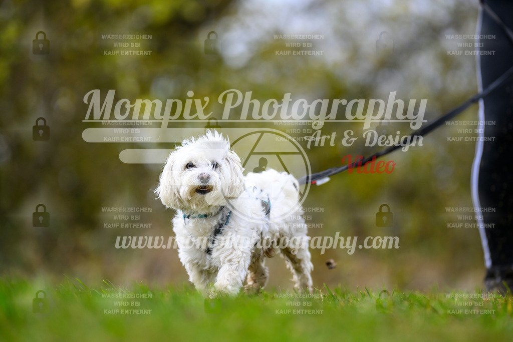 MompixPhotography_2OATB_SO_Run-81 | PayLife