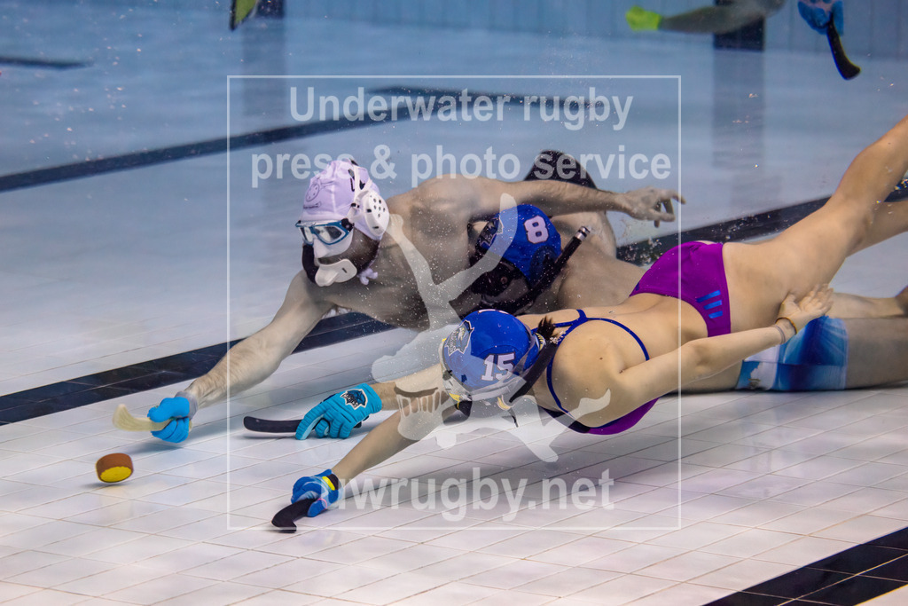 Unterwasser-Hockey: Rückrunde Liga 2023/2024 - Bild 11 | UWH München 2 in blau gegen  die Spielvereinigung Hannover / Elmshorn in weiß. Kampf um den Puck auf dem Boden des Schwimmbeckens. Beim Unterwasser-Hockey spielen Frauen und Männer in der Liga gemeinsam. - Realisiert mit Pictrs.com