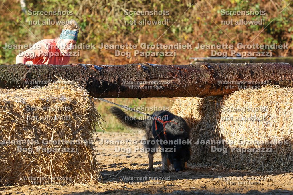 Dog Paparazzi - Strongdog 10-25-903 | Dog Paparazzi Jeanette Grottendiek Fotografie & Videografie - Realisiert mit Pictrs.com
