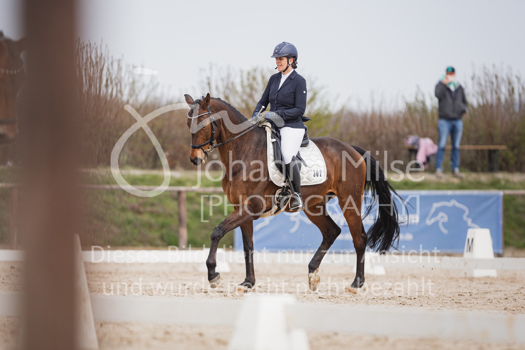 230410_Frühlingsfest_DressurWBA2-319 | Deine schönsten Turniermomente als professionelle Fotos! Entdecke hochwertige Pferdesport-Fotografie im Online-Shop. Jetzt Fotos finden & bestellen!