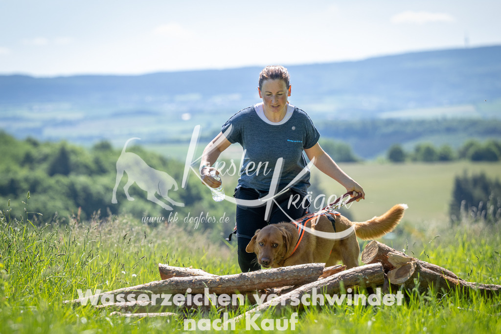 1050_ZZ93834 | kk-dogfotos