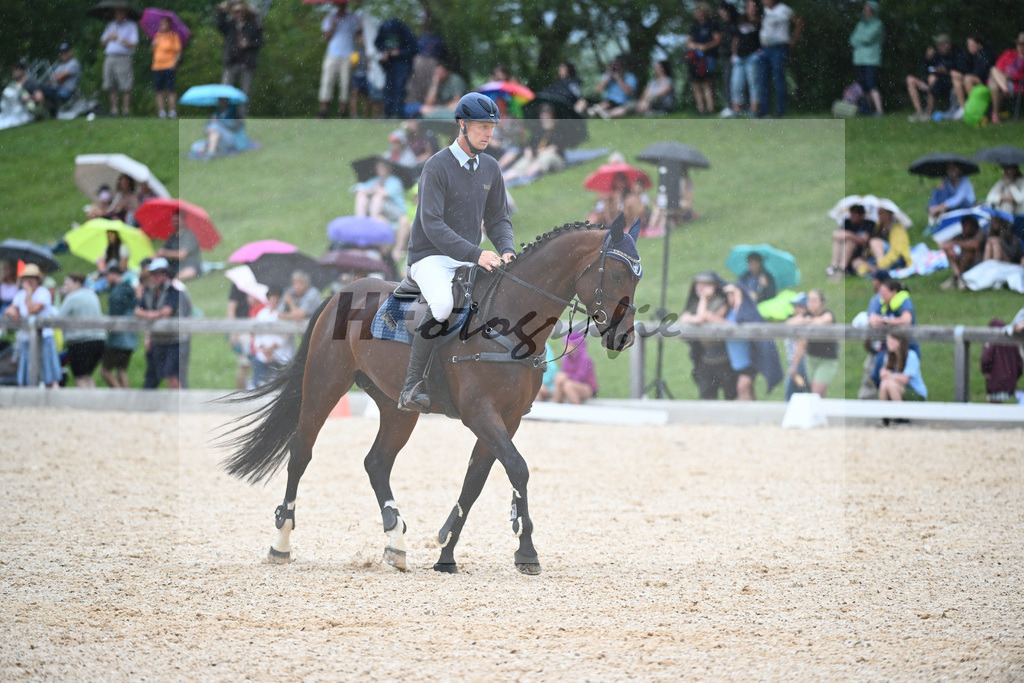 Sparten des Reitsports aus der eigenen Zucht_36240914 | hf-fotografie - Realisiert mit Pictrs.com