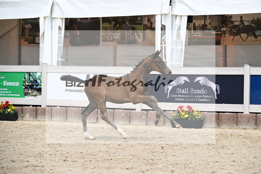 St. Emilion x Zoom_SF_Braig u Meyer_12250627 | hf-fotografie - Realisiert mit Pictrs.com