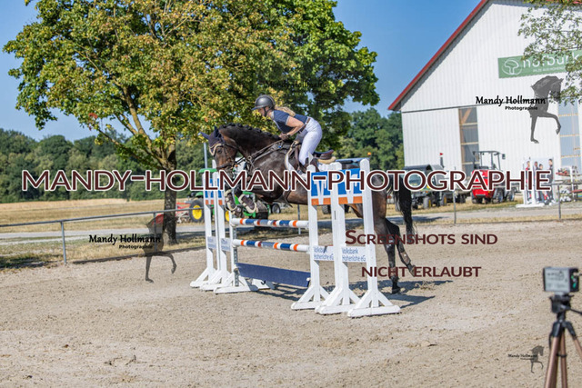 26-7-24 Amateur L-149 | mandyhollmannphotographie