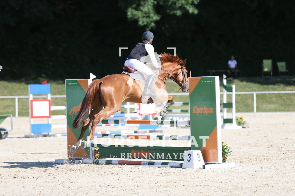 PP013515 | Willkommen bei Brunnmayr - Design & Fotografie – Ihrem Spezialisten für Reitturniere und Pferdeveranstaltungen in Oberösterreich, Salzburg und Bayern! Seit über 17 Jahren sind wir leidenschaftlich dabei.