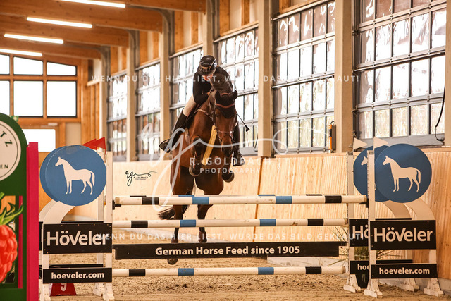 1J2A8364Catharina Friederike Glöe_ Reffaello_ Kn440_ Glantz_ Hohen Wieschendorf | Foto- und Videografie für alles rund ums Pferd. Hochwertige Bilder und Videos vom Spring- und Dressurreiten, Voltigieren & mehr. Jetzt aktuelle Veranstaltungen und Preise im Shop ansehen. - Realisiert mit Pictrs.com