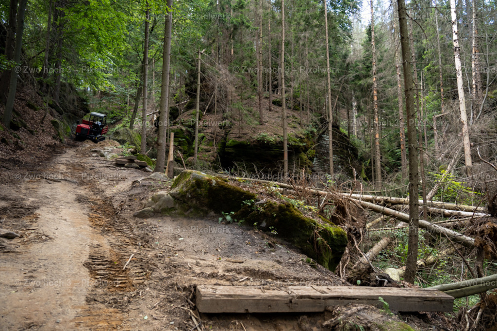 Rosssteig_Nahe_Altes_Zeughaus_Waldarbeit_Transporter | 2022-08-30_Waldbrandgebiete_1 - Realisiert mit Pictrs.com