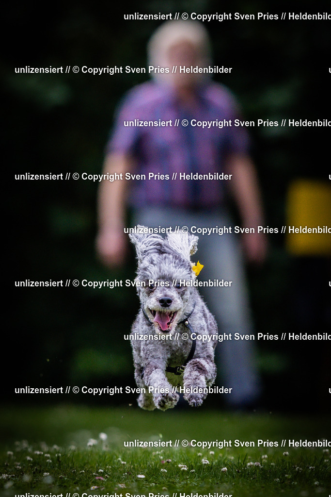 Sven Pries | 2025-05-29 - Pudelrennen KA-Durlach - Realisiert mit Pictrs.com