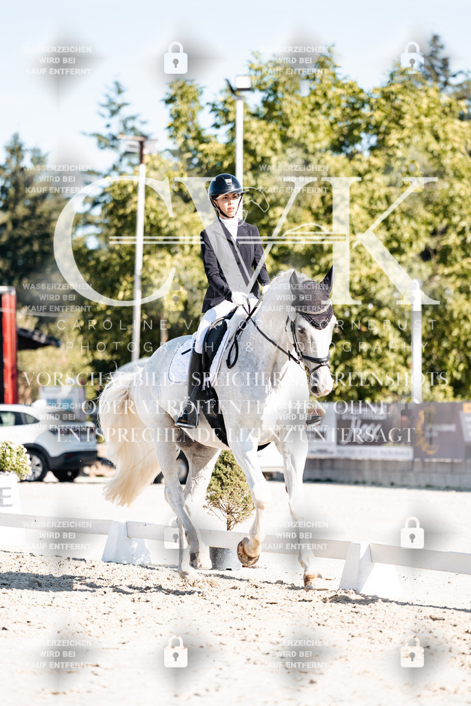 CK907597 | Turnierfotografie Pferdefotografie Trier Rheinland-Pfalz Pferdesport Reitsport Tierfotografie Sportfotografie Pferdevideo Pferdevideografie Equestrianvideography equestrianphotography  - Realisiert mit Pictrs.com