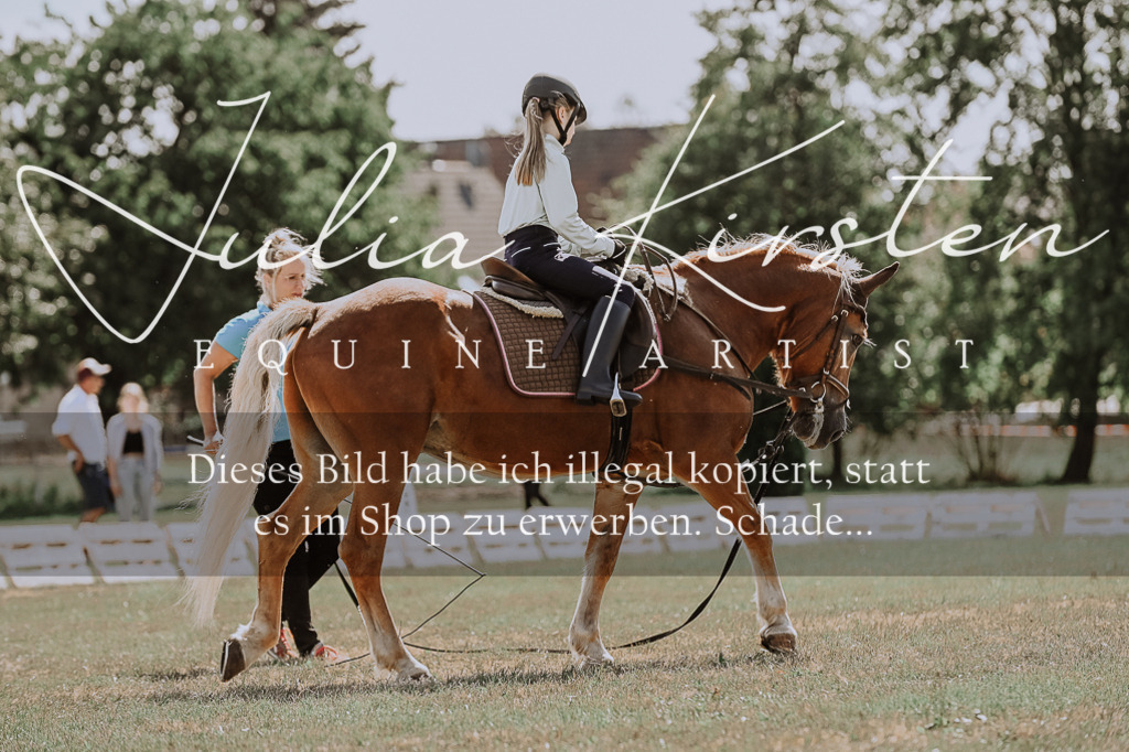 DSC_7551 | Pferde- und Turnierfotografie in Westsachsen. Pferdeportraits, Auftragszeichnungen und intuitive Kunst.