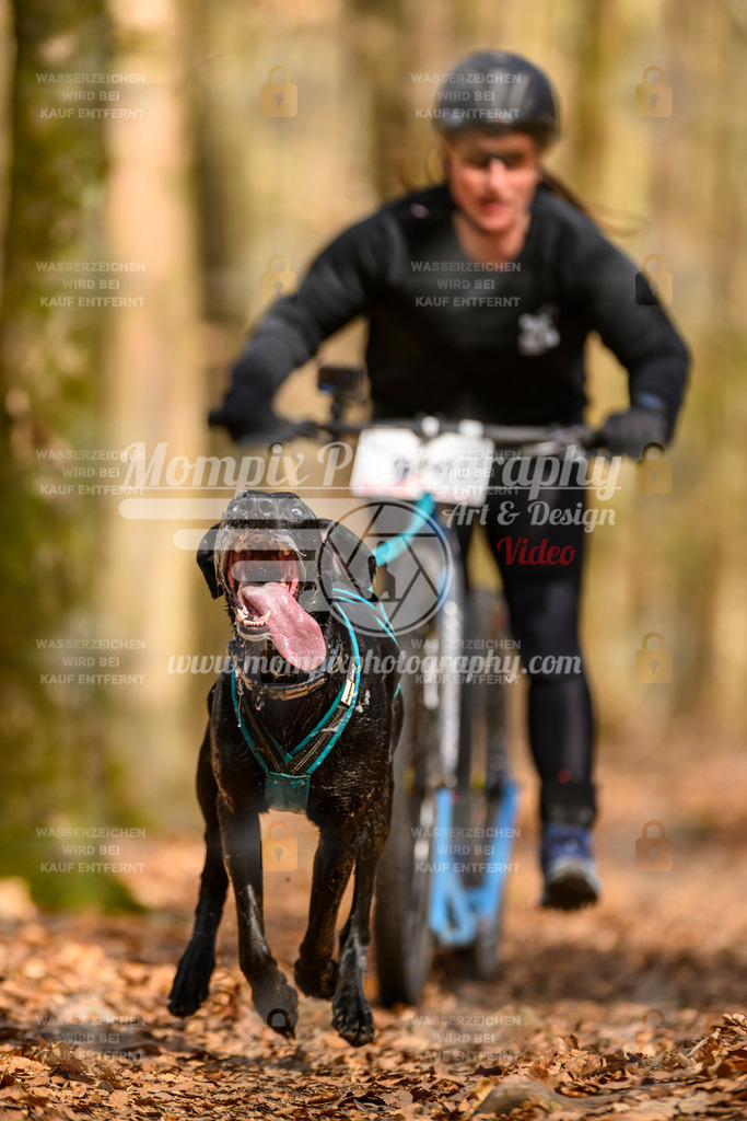 MompixPhotography_Habay2025_SA_SCO-32 | PayLife