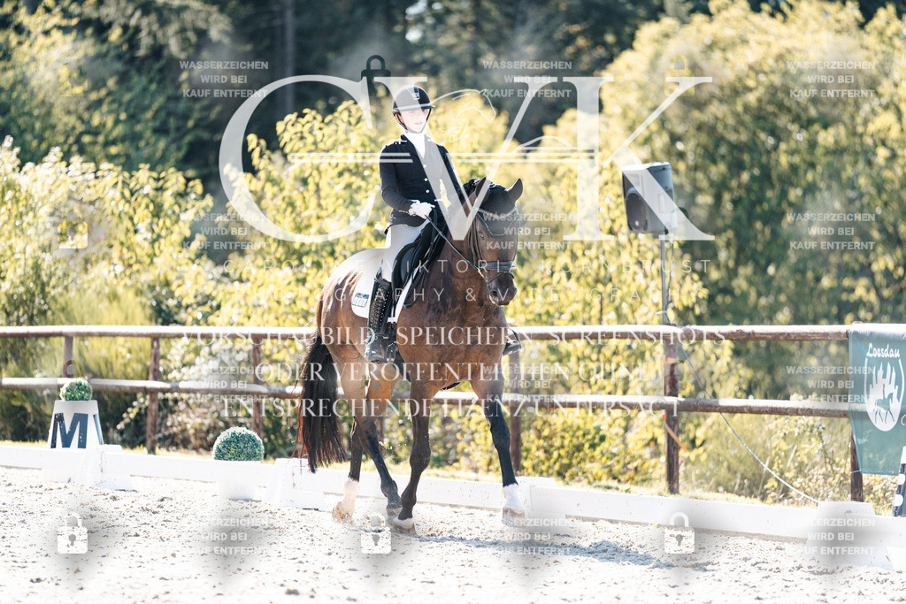 CK905883 | Turnierfotografie Pferdefotografie Trier Rheinland-Pfalz Pferdesport Reitsport Tierfotografie Sportfotografie Pferdevideo Pferdevideografie Equestrianvideography equestrianphotography  - Realisiert mit Pictrs.com