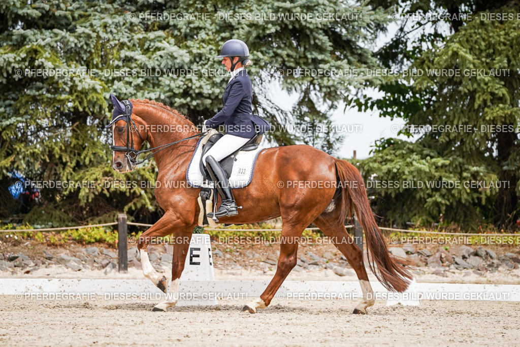 DSC05107 | Pferdegrafie