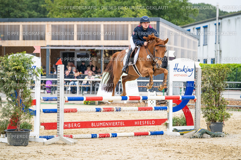 DSC00920 | Pferdegrafie