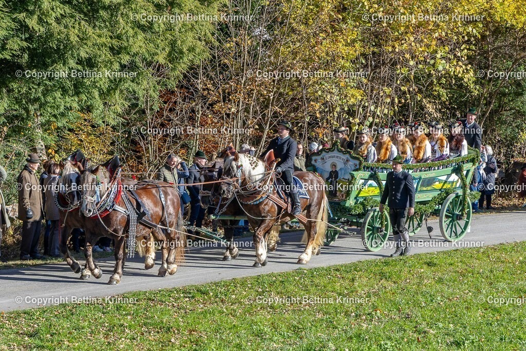 LBT25-101 | foto-bettina-krinner - Realisiert mit Pictrs.com