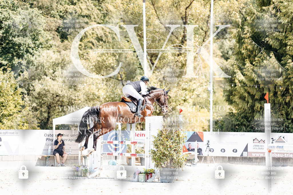CK900500 | Turnierfotografie Pferdefotografie Trier Rheinland-Pfalz Pferdesport Reitsport Tierfotografie Sportfotografie Pferdevideo Pferdevideografie Equestrianvideography equestrianphotography  - Realisiert mit Pictrs.com