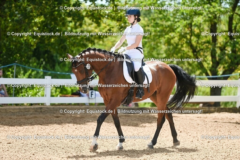 20230715_09_Dressur-WB_0108 | equistock