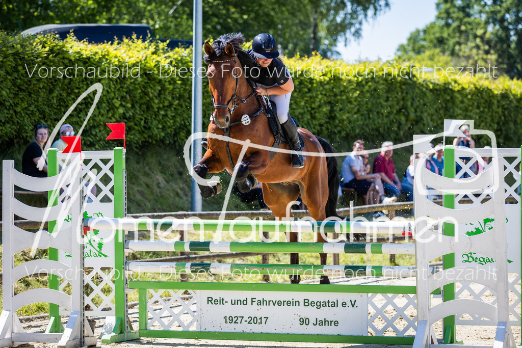 Donop24-L-Spr-040 | MomenTaufnahmen Pferdesportfotos