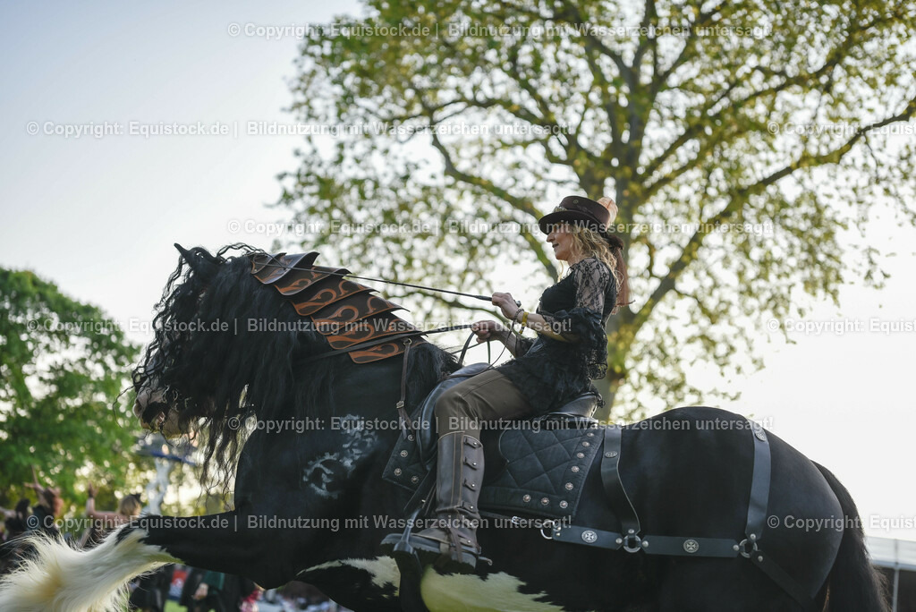 20230526_Pferdenacht_0293 | equistock