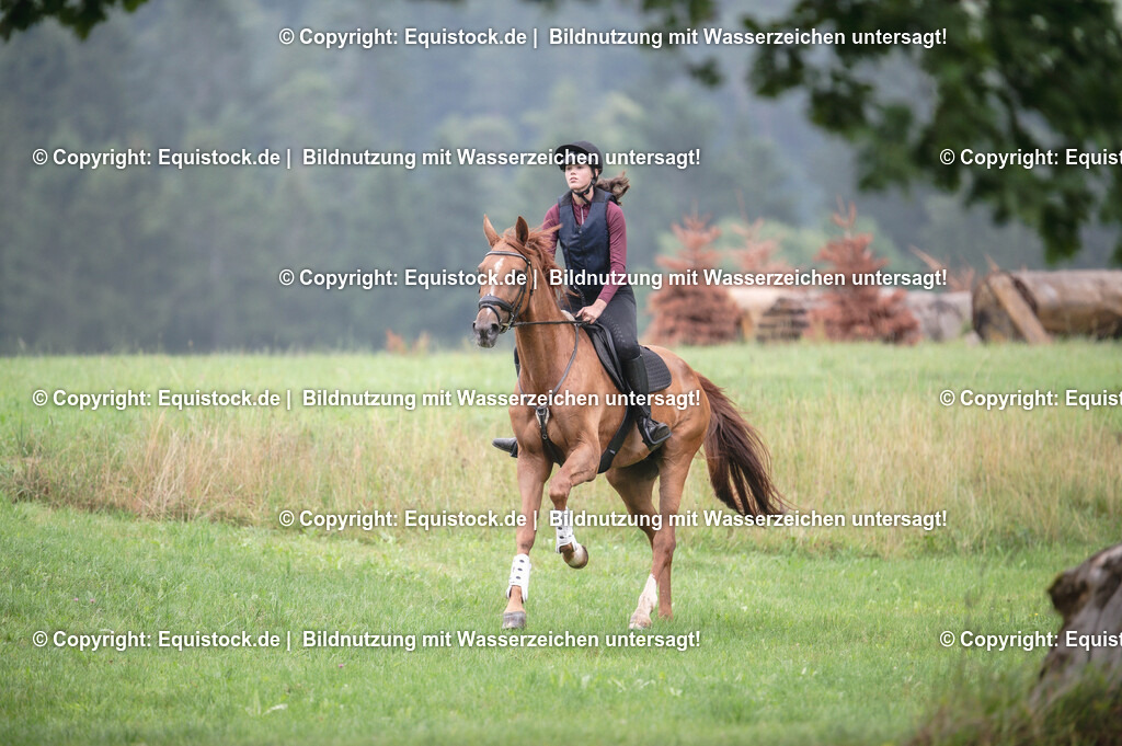 20250726_Vielseitigkeitslehrgang-Marbach_0310 | Foto: Thomas Hartig