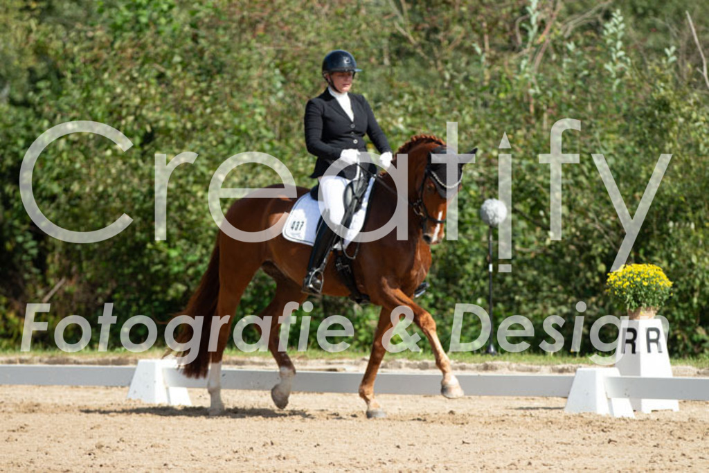 IMG_2640 | Creatify Fotografie