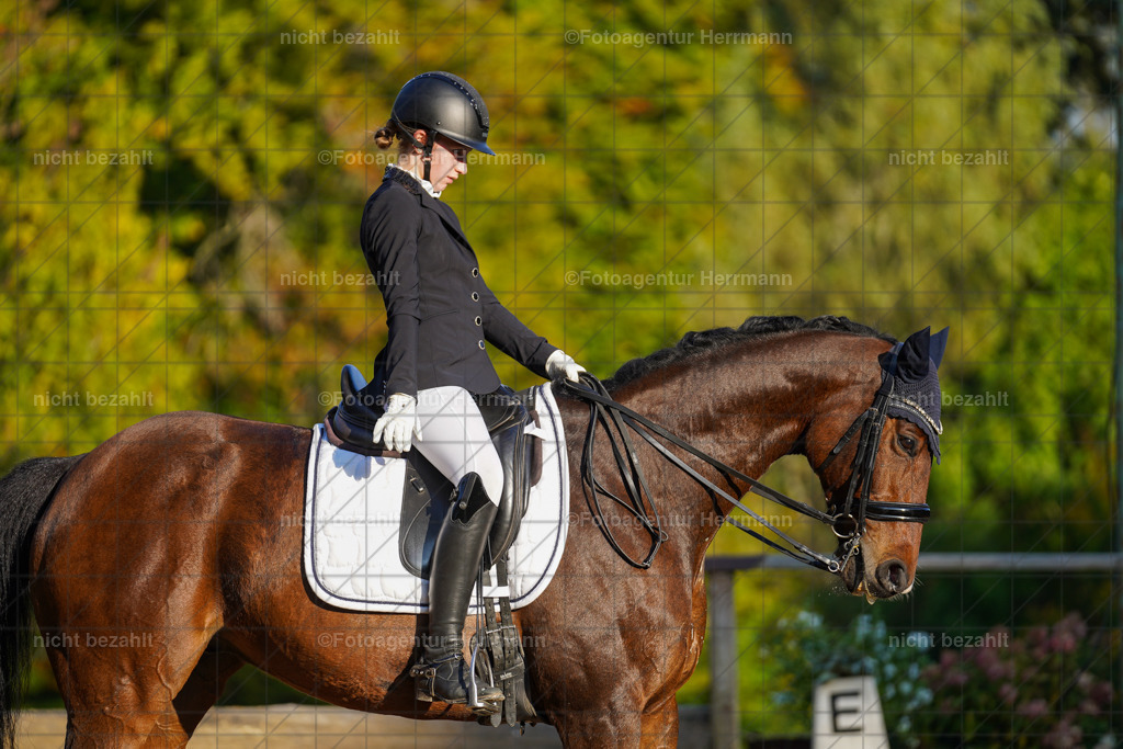 20221007-FAH00312 | Diessen am Ammersee, 2022, Dressur- und Springturnier, Reitsportbilder, Turnierfotografen Bayern, Pferdefotografen, Fotoagentur Herrmann, Turnierbilder