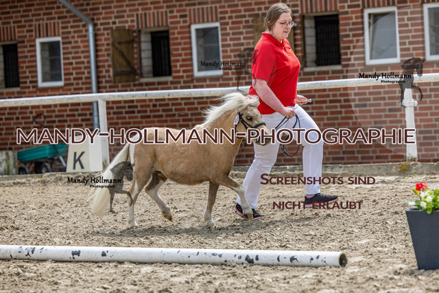_MG_1512 | mandyhollmannphotographie