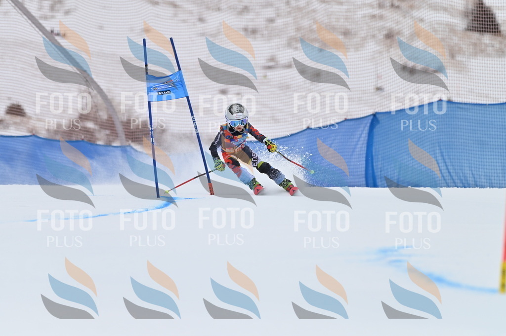 BGV_0103 | holidayphoto