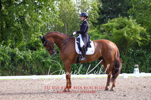 DKP41582 | Turnierfotos kaufen im Webshop von Daniel Kuhl Photography – entdecke professionelle Reitsportfotos aus Turnieren & Events. Hochwertige Turnierbilder online bestellen & sichern. Jetzt Fotos von Reitsportturnieren kaufen!