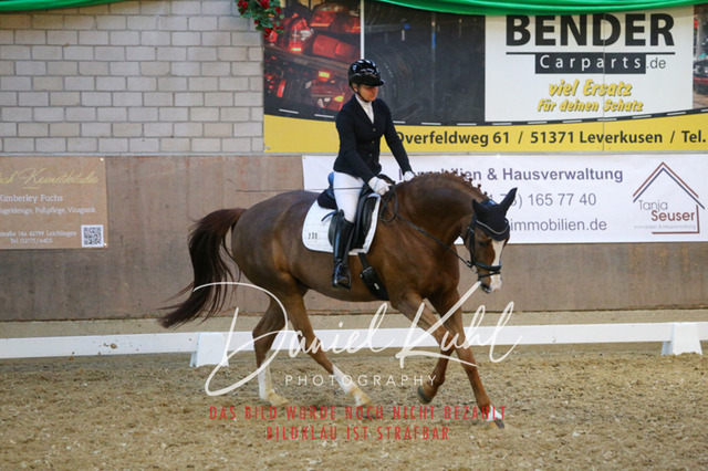 IMG_3012 | Turnierfotos kaufen im Webshop von Daniel Kuhl Photography – entdecke professionelle Reitsportfotos aus Turnieren & Events. Hochwertige Turnierbilder online bestellen & sichern. Jetzt Fotos von Reitsportturnieren kaufen!