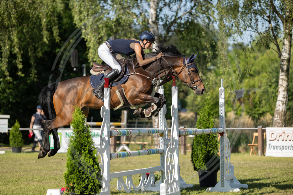 994A4080 | sabrinanicolaifotografie - Realisiert mit Pictrs.com