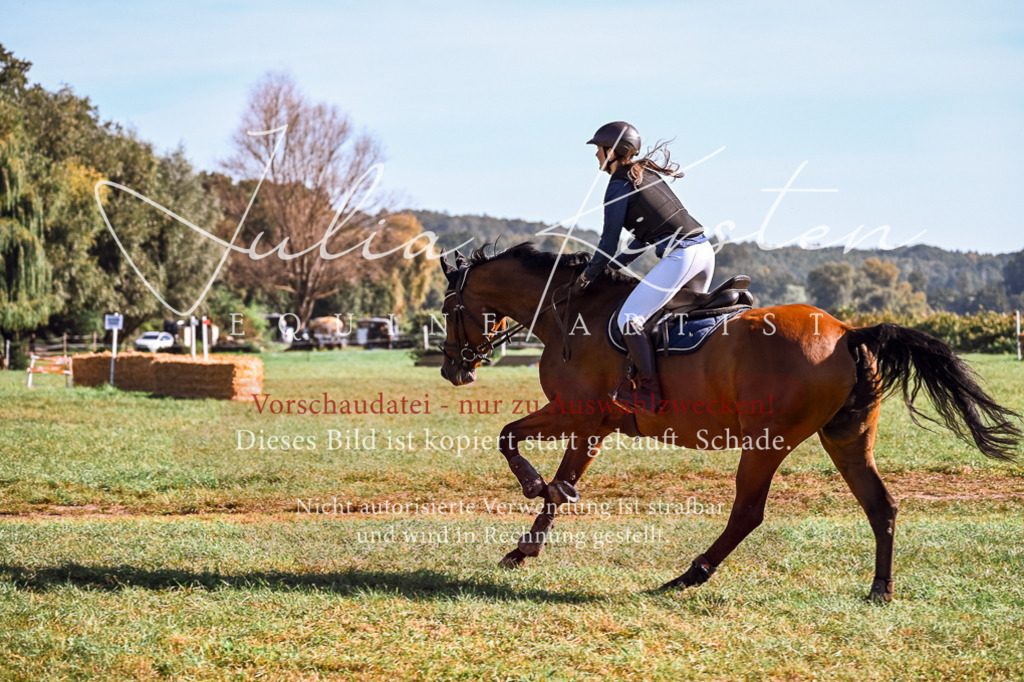 DSC_0560 | Pferde- und Turnierfotografie in Westsachsen. Pferdeportraits, Auftragszeichnungen und intuitive Kunst.