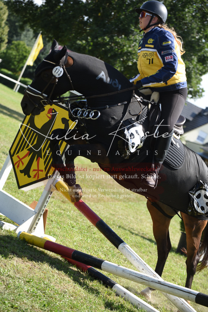 DSC_0396 | Pferde- und Turnierfotografie in Westsachsen. Pferdeportraits, Auftragszeichnungen und intuitive Kunst.
