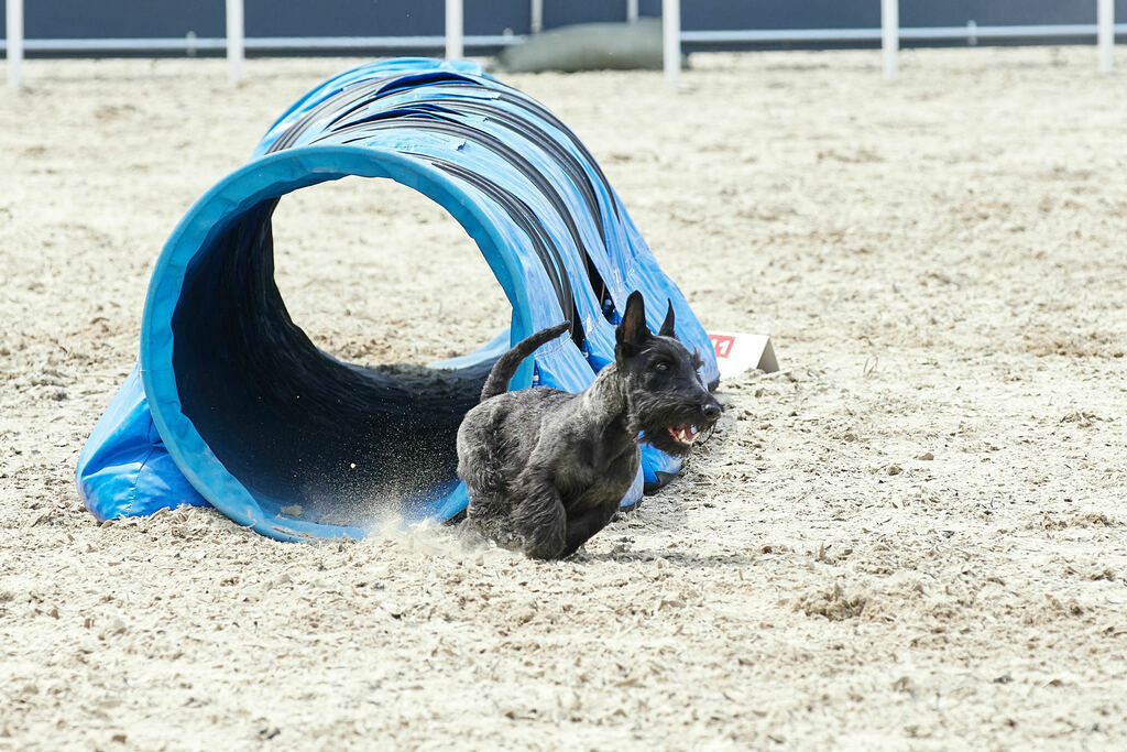 580A0103 | Peter Fridle Fotografie - Realisiert mit Pictrs.com