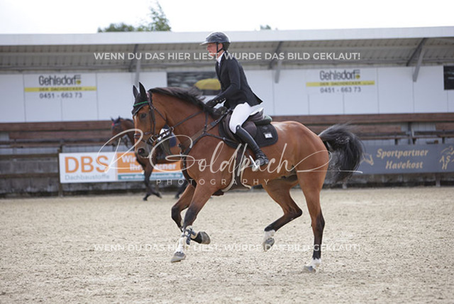 1J2A2792Meike Jalas_ Vollcool_ Kn991_ Havekost | Foto- und Videografie für alles rund ums Pferd. Hochwertige Bilder und Videos vom Spring- und Dressurreiten, Voltigieren & mehr. Jetzt aktuelle Veranstaltungen und Preise im Shop ansehen. - Realisiert mit Pictrs.com
