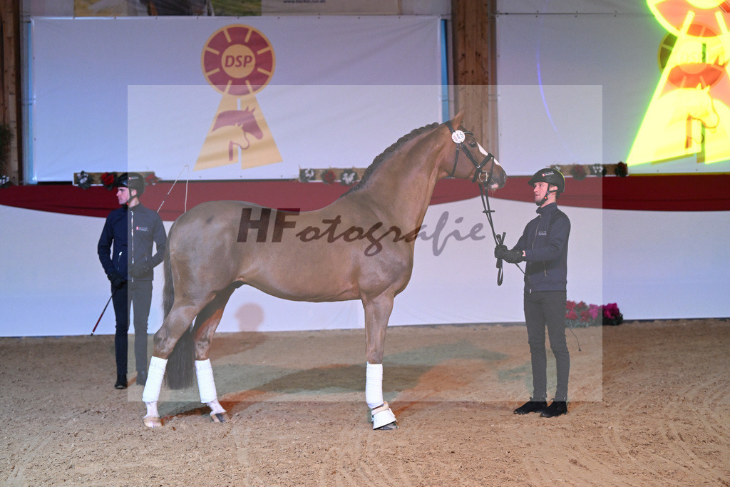 Sir Nymphenburg_1235072 | hf-fotografie - Realisiert mit Pictrs.com