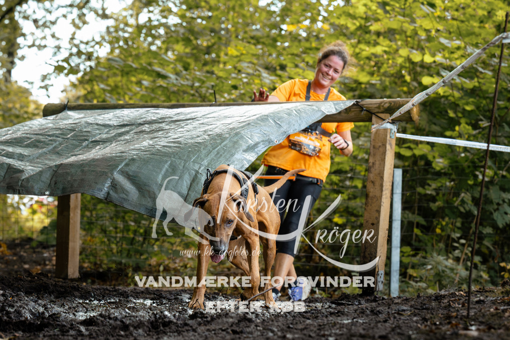1415DZ6_1319Z6 | kk-dogfotos