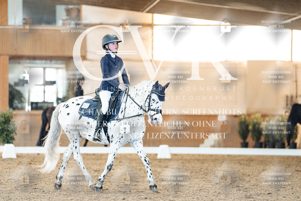 CK906823 | Turnierfotografie Pferdefotografie Trier Rheinland-Pfalz Pferdesport Reitsport Tierfotografie Sportfotografie Pferdevideo Pferdevideografie Equestrianvideography equestrianphotography  - Realisiert mit Pictrs.com