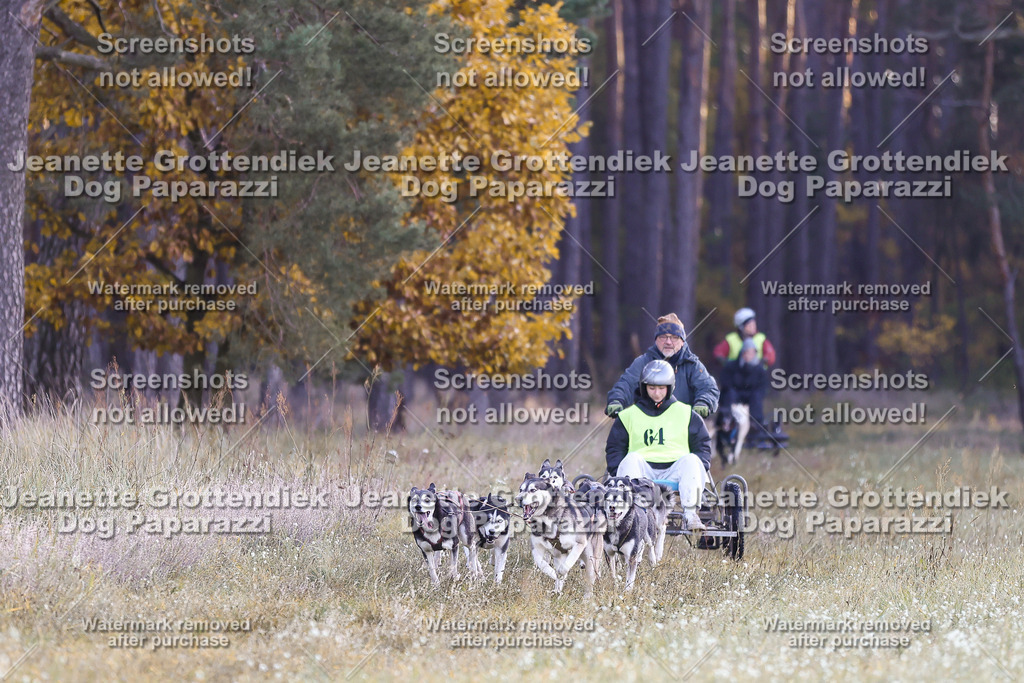 Dog Paparazzi - Elsholz 25  | Dog Paparazzi Jeanette Grottendiek Fotografie & Videografie - Realisiert mit Pictrs.com