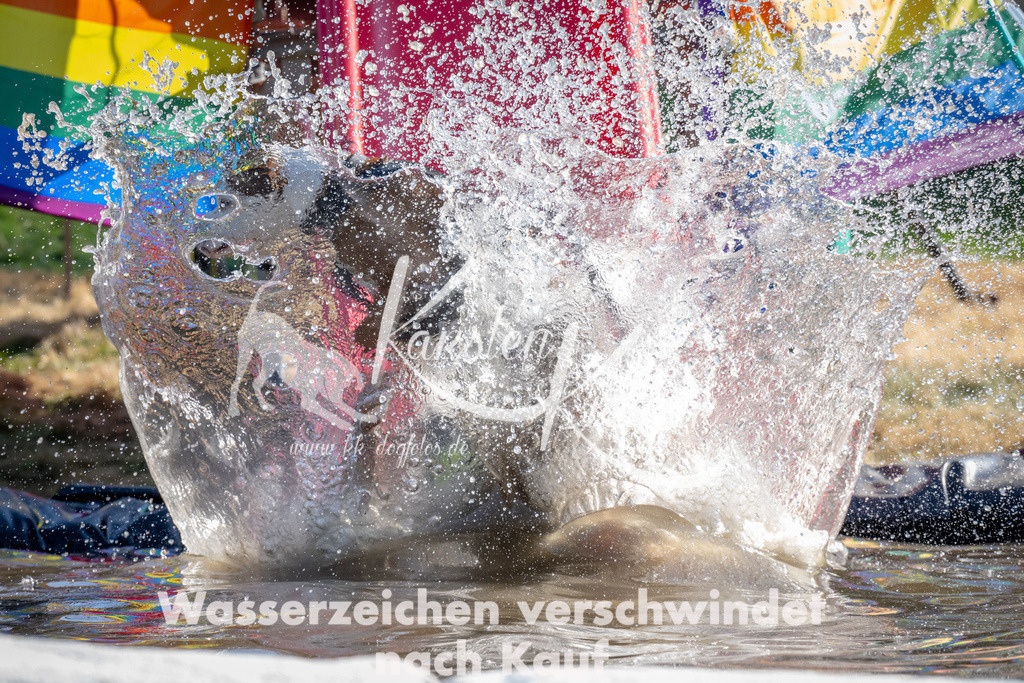 1640_ZZ90695 | kk-dogfotos
