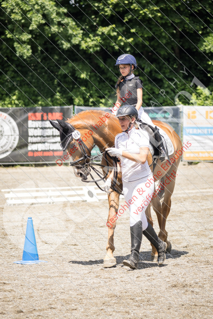IMG_3518 | Sport-, Event- und Tierfotos in Profiqualität. Einfach auswählen, bestellen und herunterladen. Dein Moment – perfekt festgehalten.