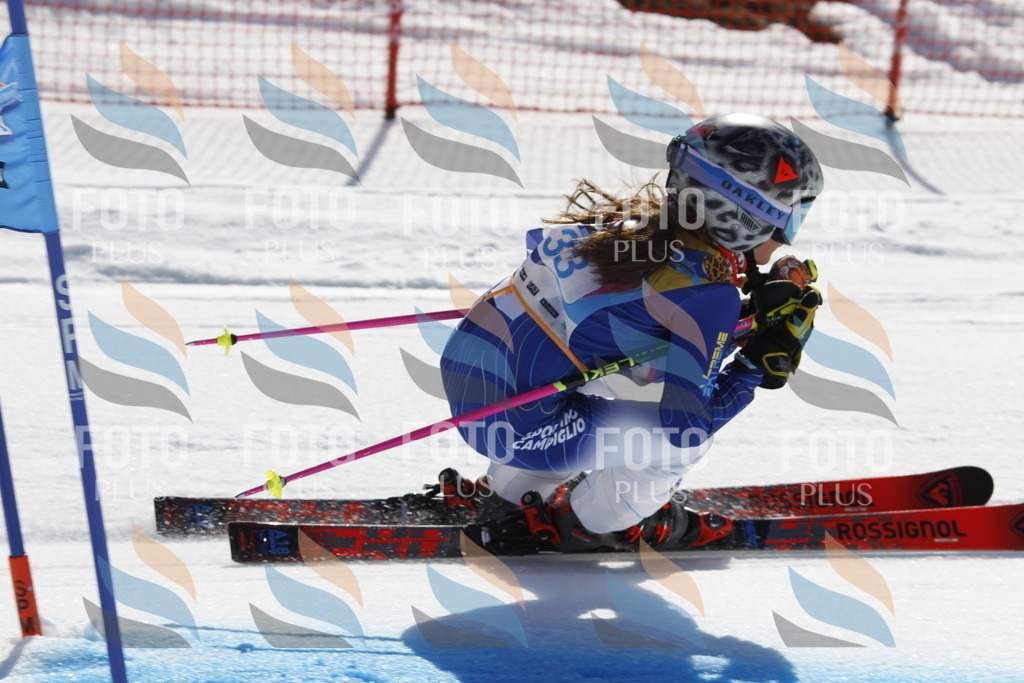 _U3G9101 | holidayphoto