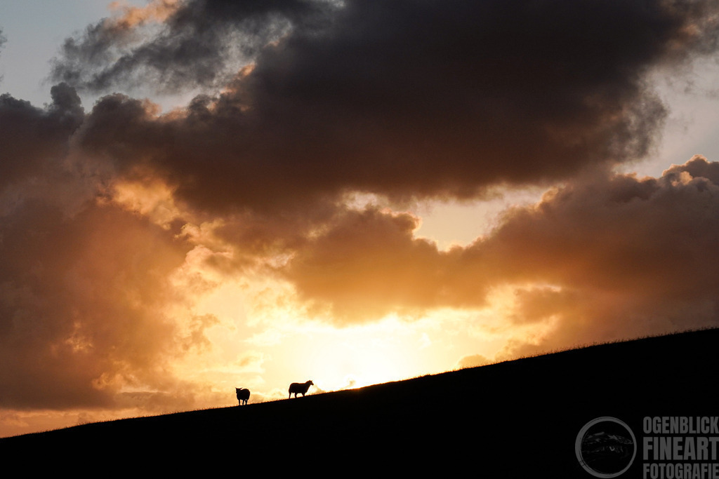 A7R01493 | Björn Thiemann; Ogenblick.de; Fotografie; Photograph; Landscape, Pellworm, Schleswig-Holstein; Inselfotograf; Inselfotografien; Wattenmeer; National-Park; Naturschutzgebiet; Leuchtturm; Lighthouse; Leinwandbilder; Kalender; Pellworm Kalender;  - Realisiert mit Pictrs.com