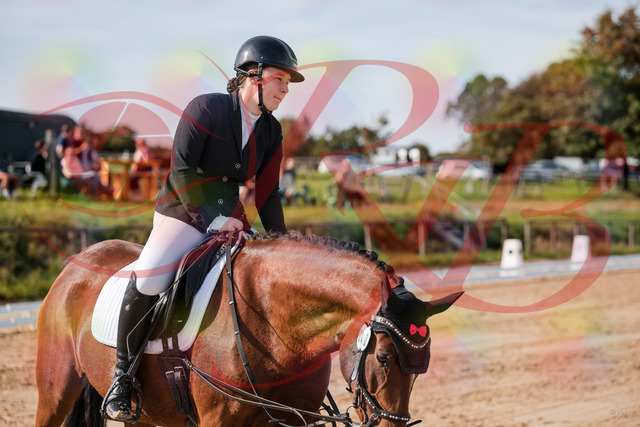 2026_10_03_Siefer-Hof_115842_Z63_32215477 | Professionelle Reitsport-, Turnier- und Eventfotografie von Robert Broda. Galerien mit ausgewählten und bearbeiteten Bildern direkt online ansehen und bestellen.