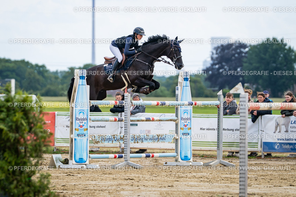 DSC06814 | Pferdegrafie