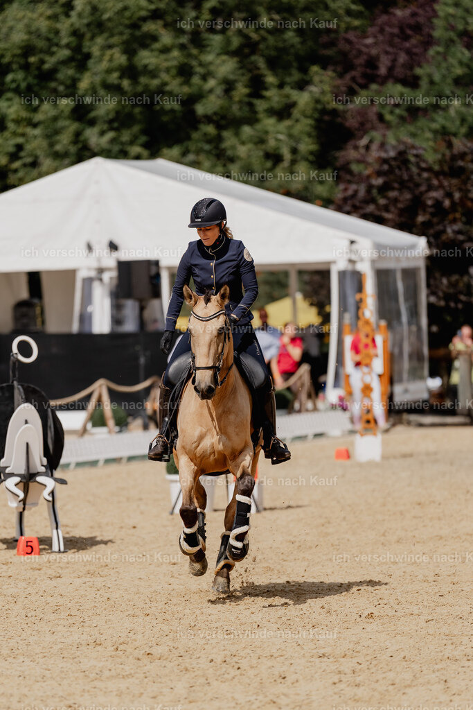 Diana11_FHC2025-3005 | working equitationturnier fotograf videograf stoibphotography marixx film working equitation deutschland reitsport turnierfotografie eventfotografie equestrian events