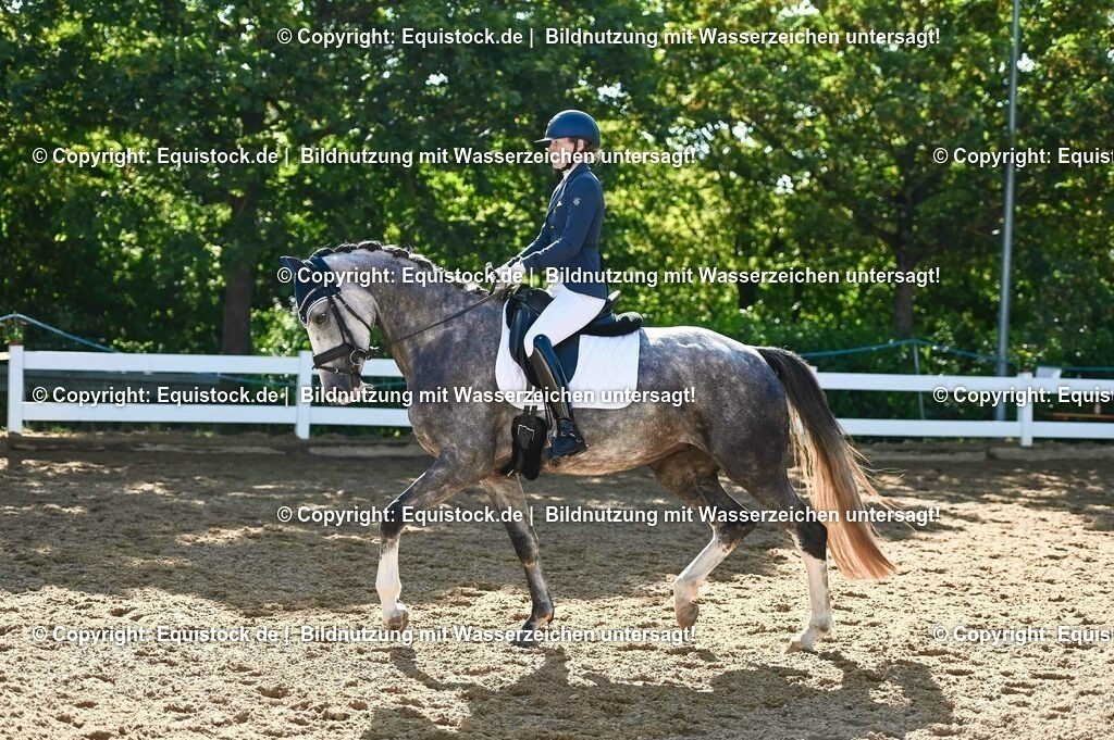 20230715_06_Dressurpferdeprfg. Kl.A_0297 | equistock