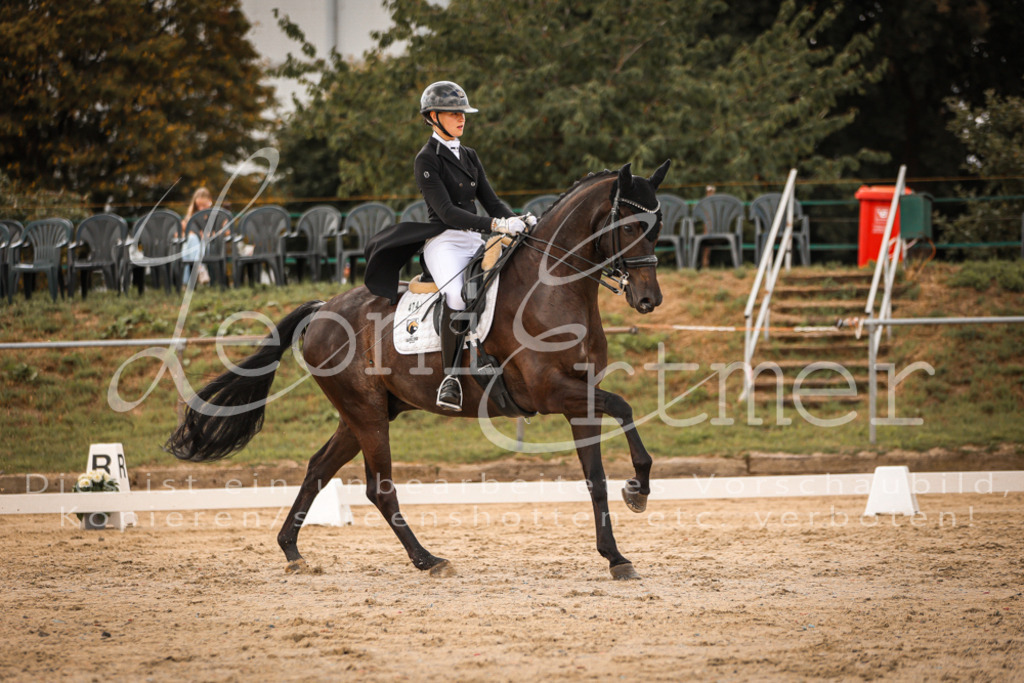 19.FrDrS00301 | Leoni Ertmer Photography - Realisiert mit Pictrs.com