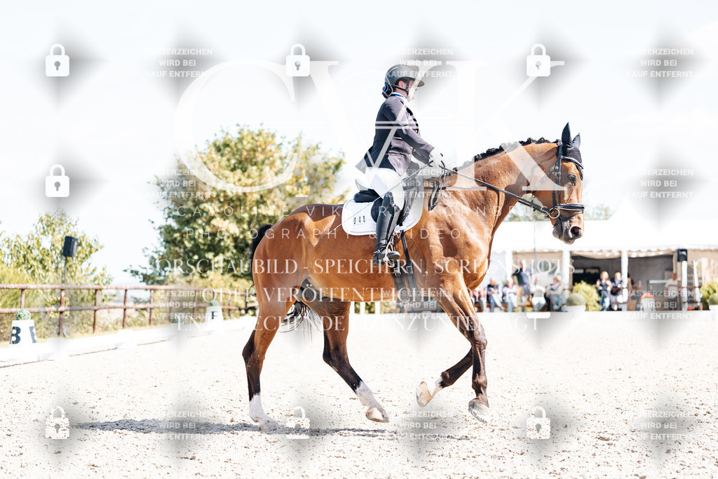 CK903205 | Turnierfotografie Pferdefotografie Trier Rheinland-Pfalz Pferdesport Reitsport Tierfotografie Sportfotografie Pferdevideo Pferdevideografie Equestrianvideography equestrianphotography  - Realisiert mit Pictrs.com